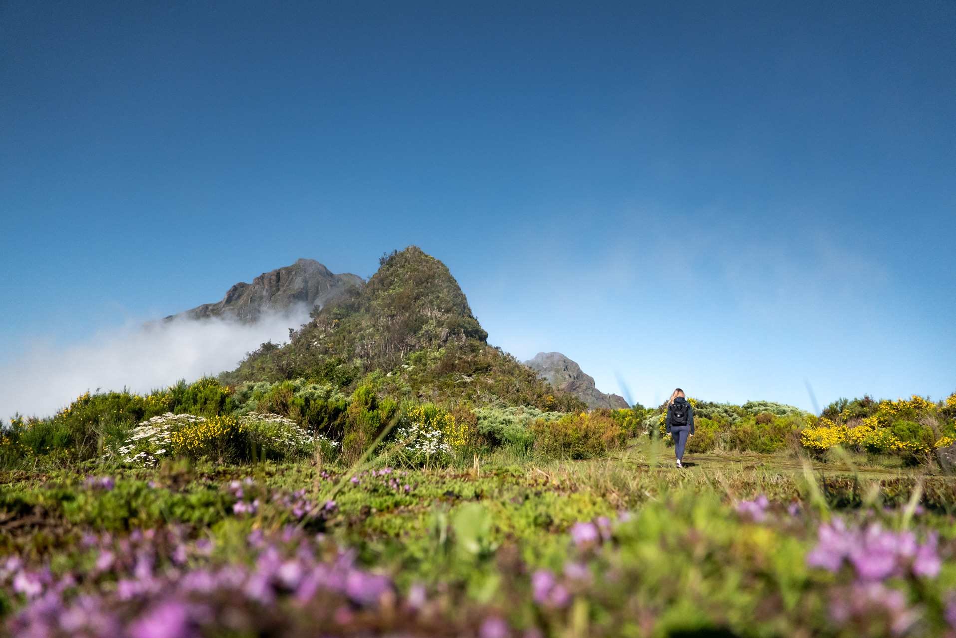 Die Berge auf Madeira