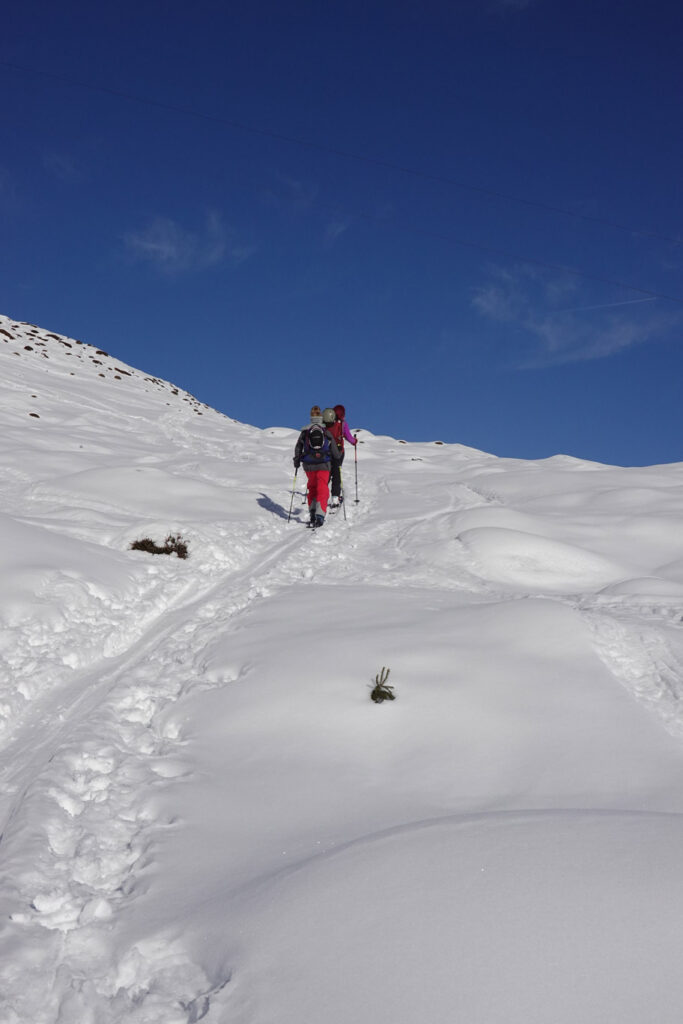 Skitour zur Kobinger Hütte in Kirchberg in den Kitzbüheler Alpen. Aufstieg.