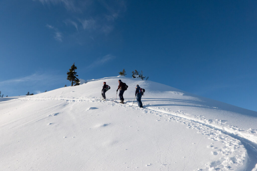 Gampenkogel Skitour Kitzbüheler Alpen. Anstieg zum Gipfel mit drei Skitourengehern.