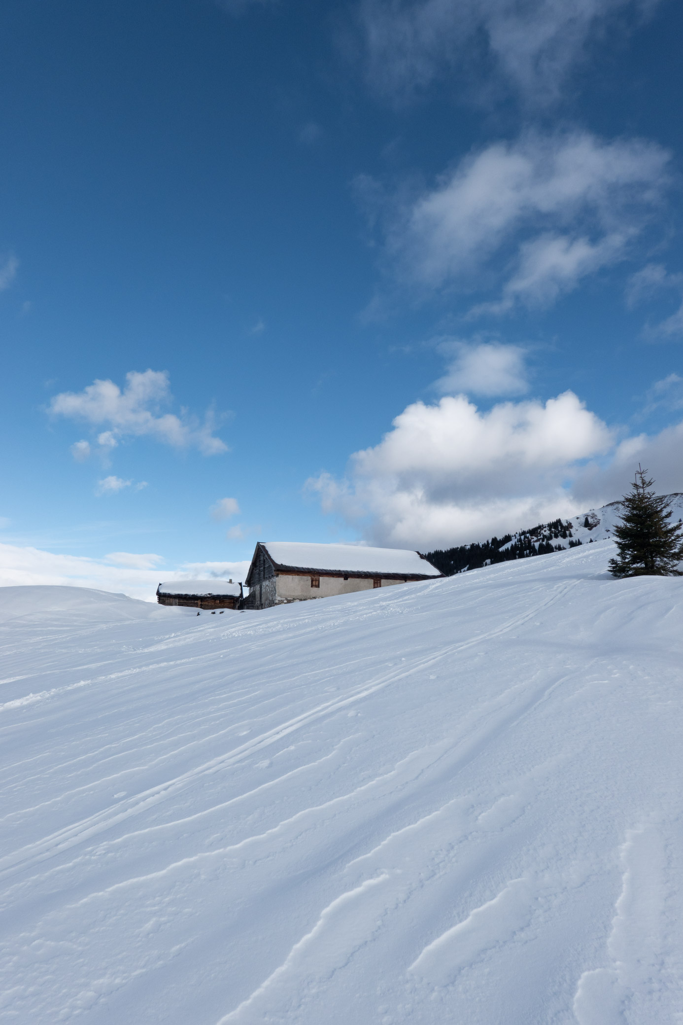 Unterhalb des Schwarzkogels in den Kitzbüheler Alpen mit einer verschneiten Alm.