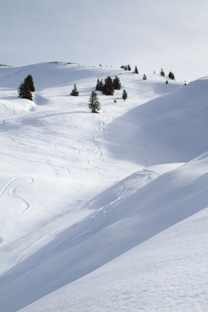 Schlusshang hoch zum Feldalphorn
