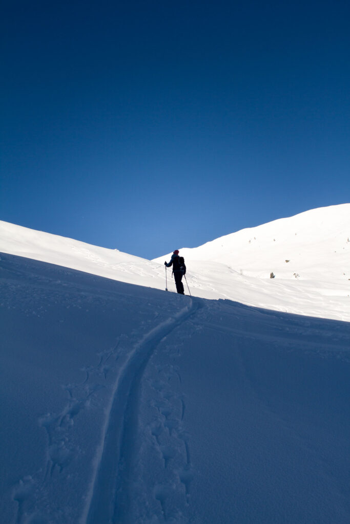 Spur einer Skitour mit blauem Himmel, hellem Schnee und viel Schatten, in der Mitte sieht man eine Skitourengeherin unterhalb des Lodrons.