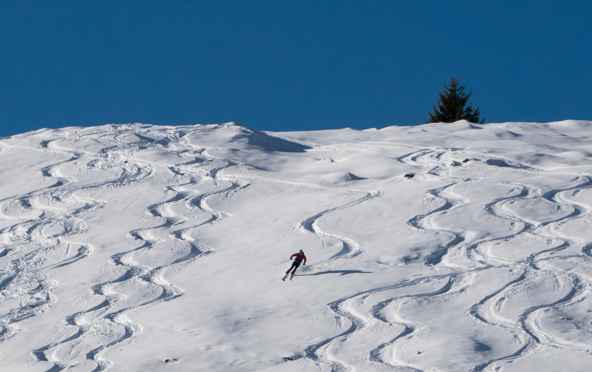 Tiefschnee Abfahrt hinter der Kobinger Hütte bei einer Skitour.