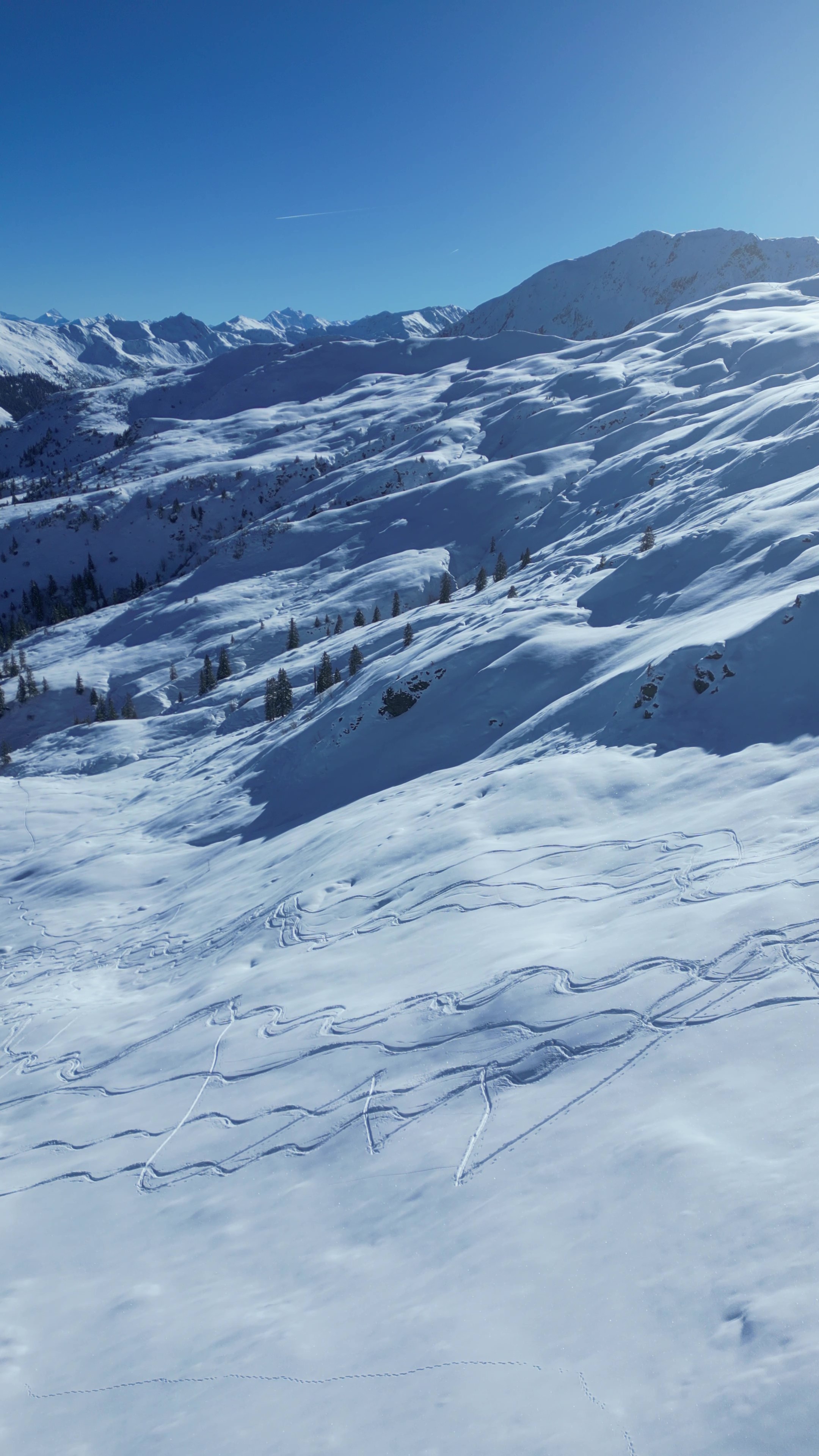 Skitour auf dem Lodron. Die Abfahrt ins Tal.