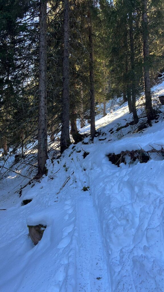 Skitouren Anstieg durch den Wald zu den Spießnägeln im Brixental.