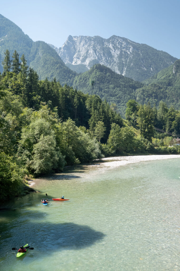 Die Lammer auf der Gravelbiketour Wossa.