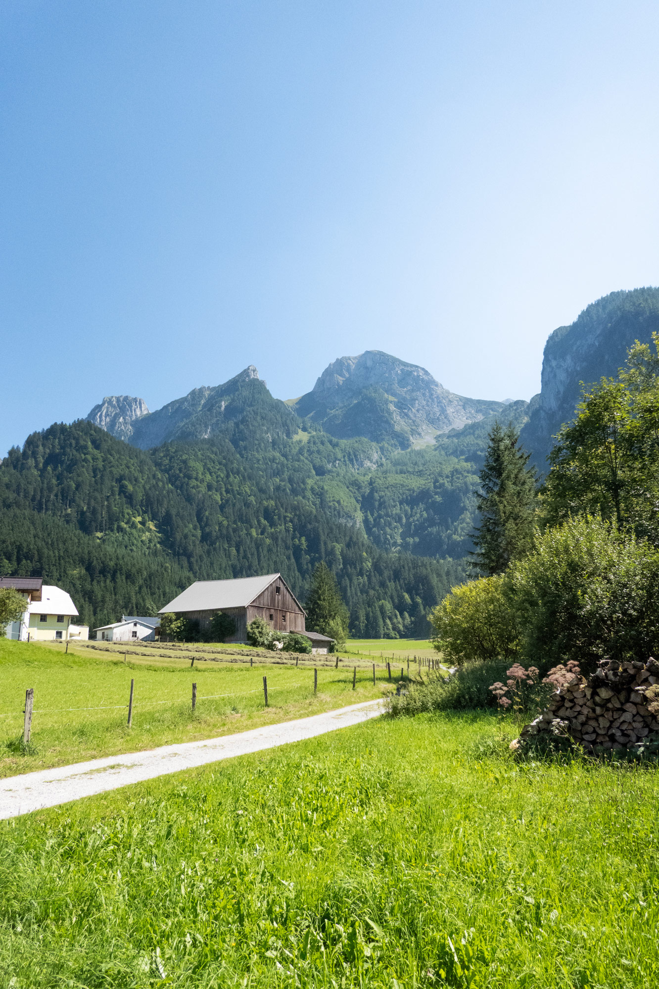 Fahrradweg kurz vor Abtenau in wunderschönen Sommerlandschaft.