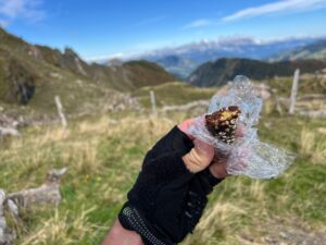 Dattel Erdnuss Reigel selber machen. Perfekt für Sport. Mit dem Riegel am Berg.