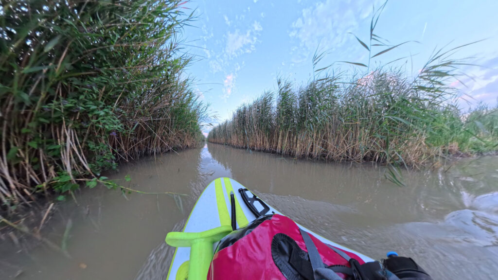 Ein kleiner Kanal im Schilf bei Mörbisch mit dem SUP Board.
