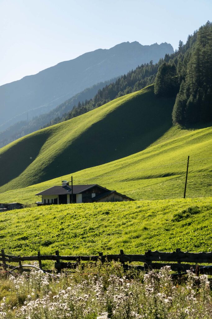 Ein sanfter grüner Grashang im Pfitschertal.